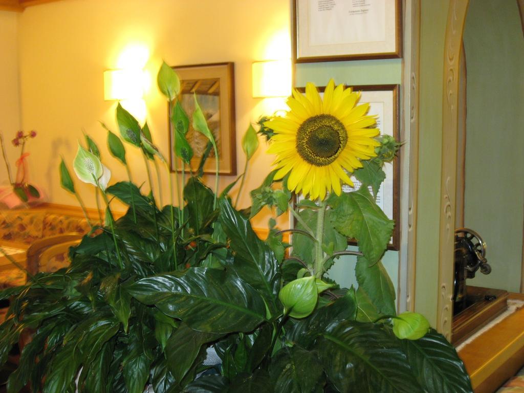 Albergo Villa Cristina Folgaria Exteriér fotografie